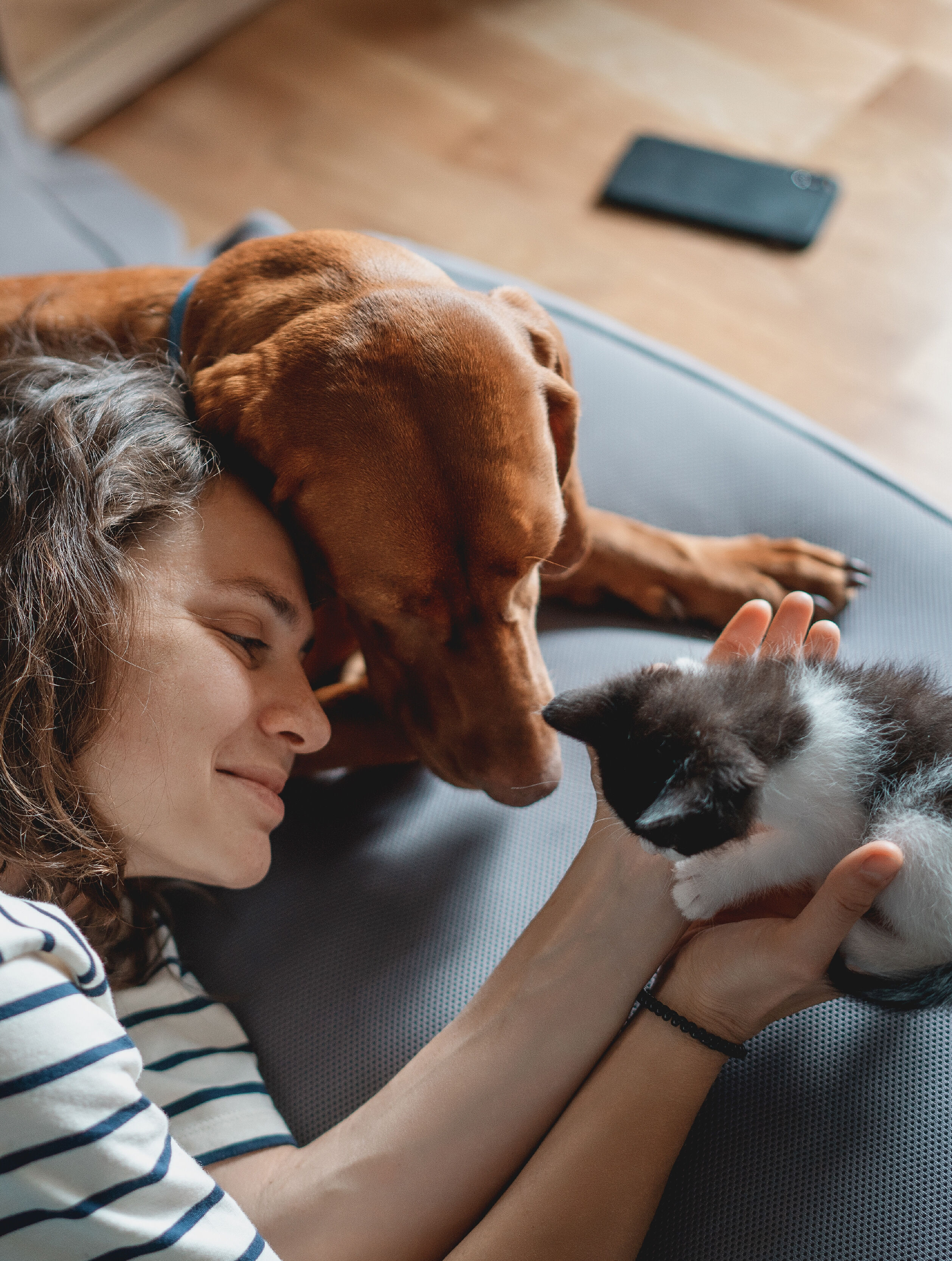 woman cuddling with cat and dog